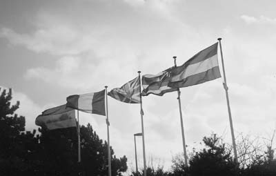 Hague Flags